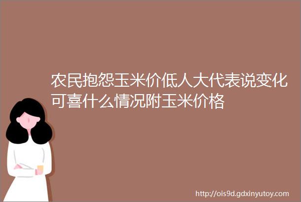 农民抱怨玉米价低人大代表说变化可喜什么情况附玉米价格